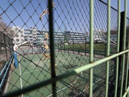 또 사설 축구클럽 집단감염...남양주서 고교생 11명 확진 기사 이미지